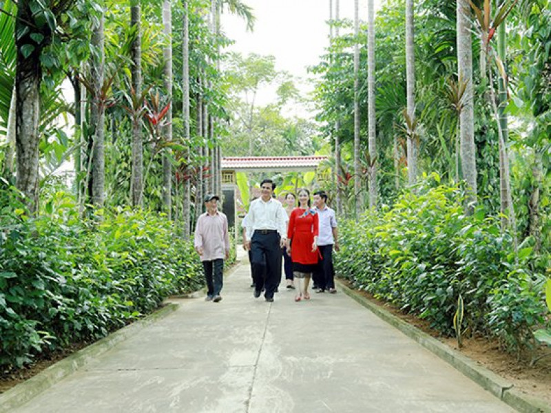 Thanh Hóa Xây dựng mô hình cải tạo vườn tạp phát triển kinh tế vườn hộ