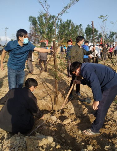 Cán bộ, công chức, viên chức, người lao động các cơ quan trên địa bàn huyện Bình Sơn tham gia trồng cây