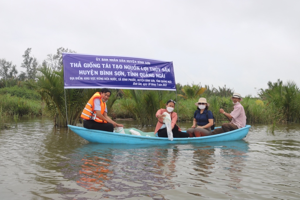 UBND huyện Bình Sơn đã đầu tư kinh phí 95 triệu đồng để đặt mua  tôm, cua và cá giống để thả giống tái tạo nguồn lợi thủy sản tại Rừng dừa nước Cà Ninh.