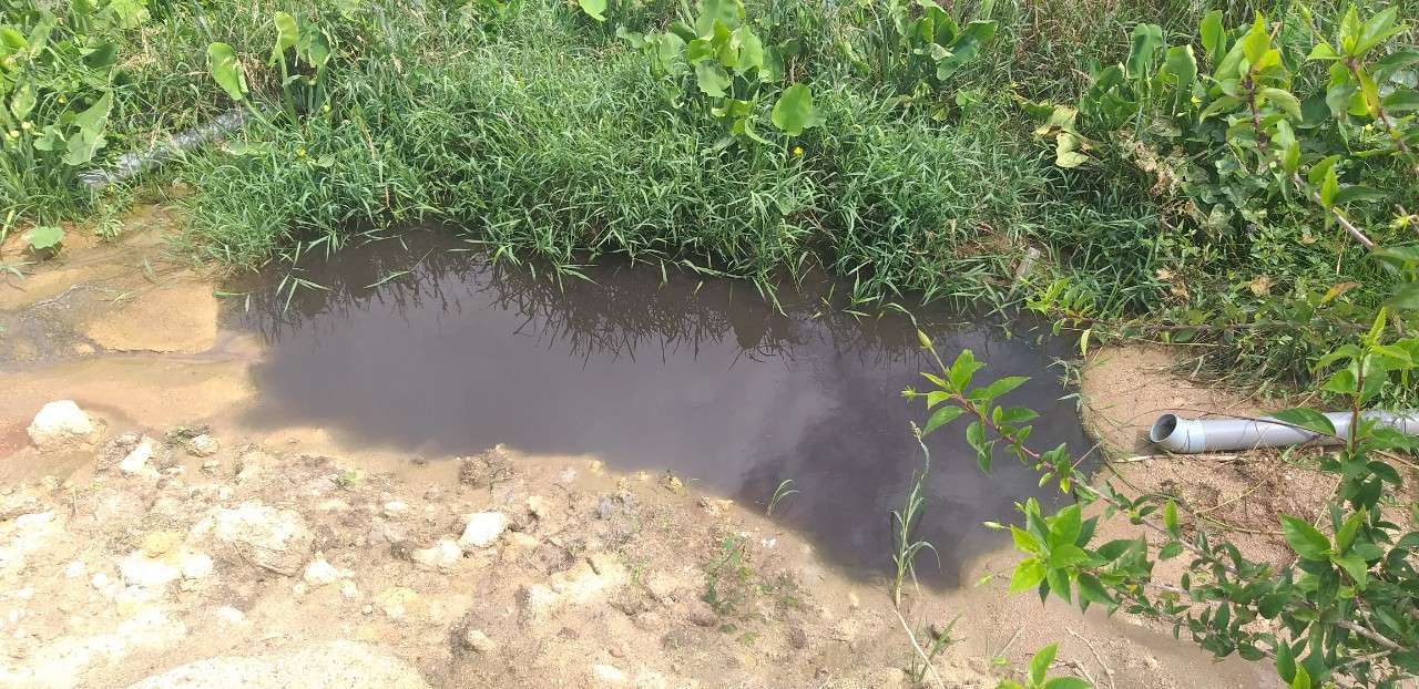 trang trại chăn nuôi heo Mạnh Hương xả thải trực tiếp ra môi trường bốc mùi hôi thối ảnh hưởng đến cuộc sống của người dân và gây ô nhiễm sông Krông Năng.