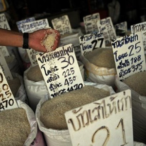 Xuất khẩu gạo của Thái Lan giảm 21% trong 6 tháng đầu năm