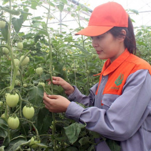 Hội Nông nghiệp và PTNT Bắc Ninh: Lan tỏa mô hình ứng dụng công nghệ vào sản xuất 