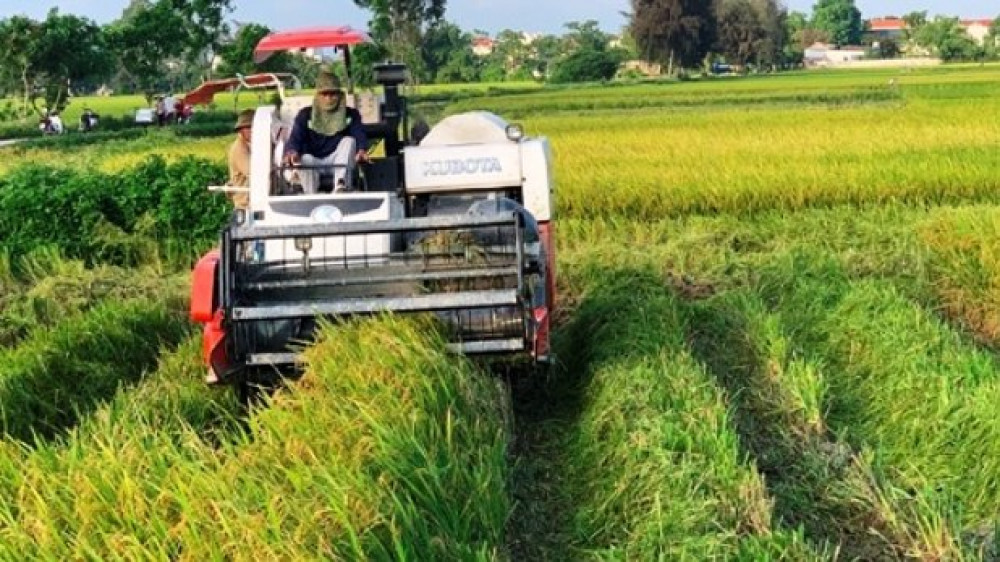 Xét nghiệm SARS-CoV-2 âm tính, người dân vùng giãn cách xã hội ở Thanh Hóa mới được đi gặt lúa