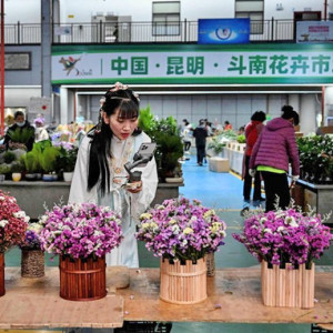 Xu hướng bán hoa, quả qua livestream tại Trung Quốc