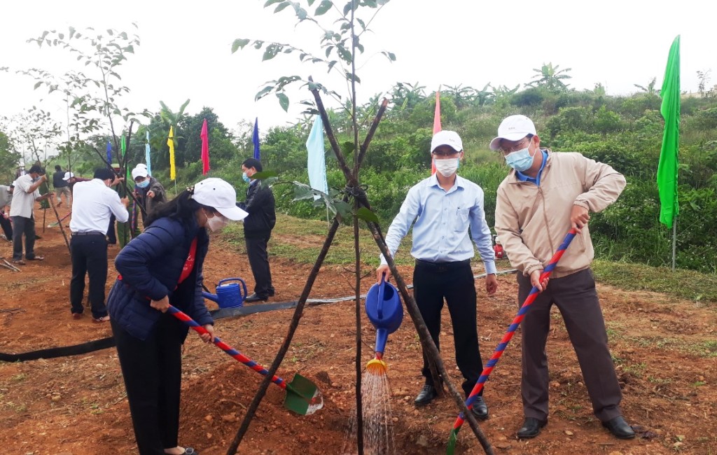 Lãnh đạo Huyện Bình Sơn tham gia trồng cây tại đồi Gò Sỏi, thôn Đông Thuận, xã Bình Trung.