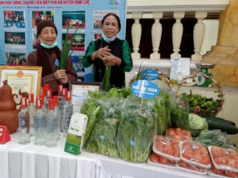 Sản xuất nông nghiệp trong nhà kính, nhà màng ở Bình Lục: Giải pháp nâng cao thu nhập