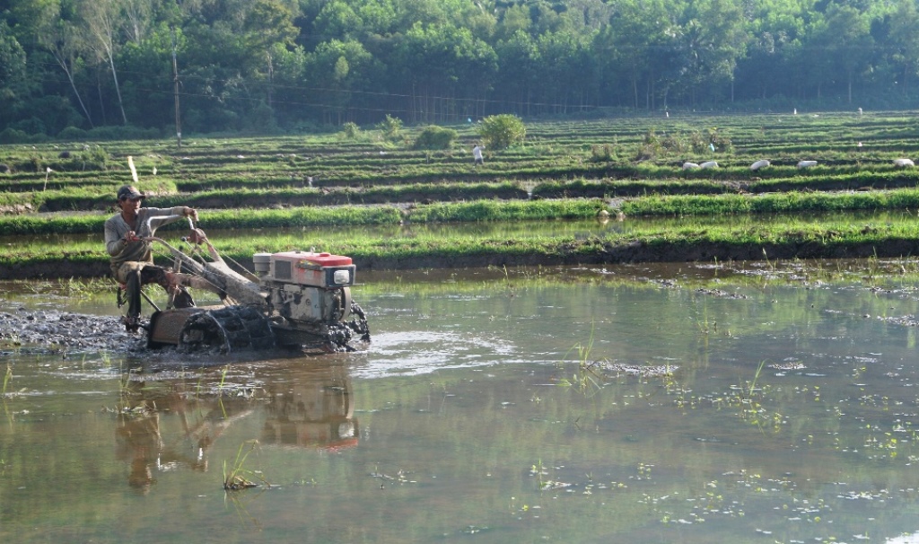 Nông dân các huyện miền núi Quảng Ngãi làm đất chuẩn bị gieo sạ vụ hè thu 