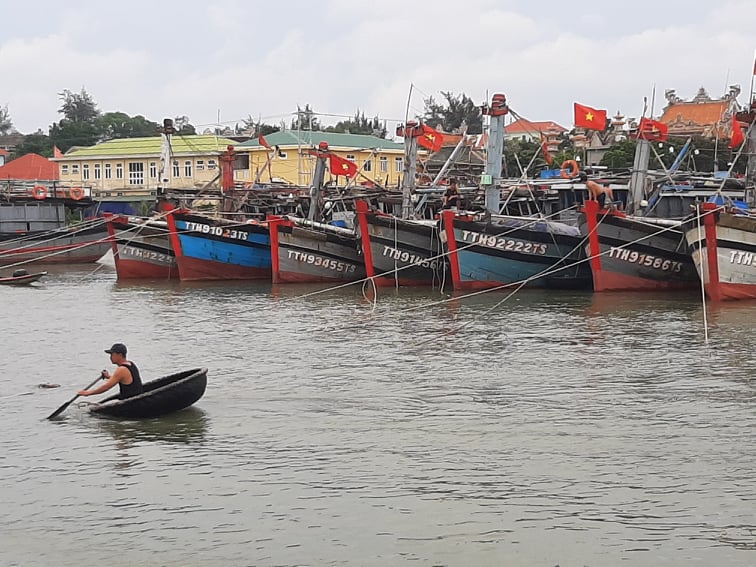 Thừa Thiên - Huế cho phép các tàu cá đảm bảo an toàn đi biển được phép ra khơi trở lại bắt đầu từ 11h00 ngày 19/9.