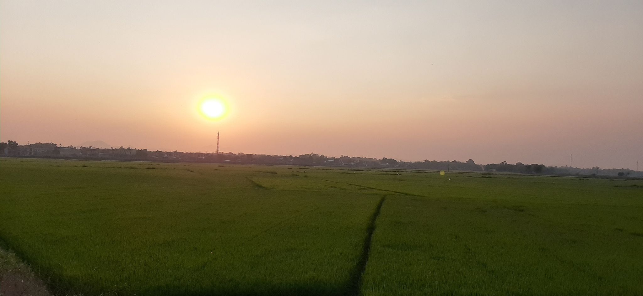 Đến thời điểm hiện tại cây lúa sản xuất trong vụ Đông Xuân 2020 – 2021 tại tỉnh Thừa Thiên - Huế vẫn đang phát triển tốt và chưa xuất hiện hiện tượng khô, hạn.