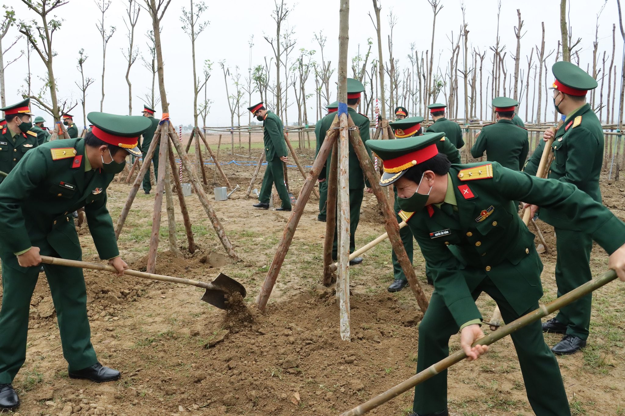 Trong ngày 8/02, Bộ Chỉ huy Quân sự tỉnh Thừa Thiên - Huế đã đồng loạt hưởng ứng và tổ chức ra quân trồng được 5.500 cây các loại.