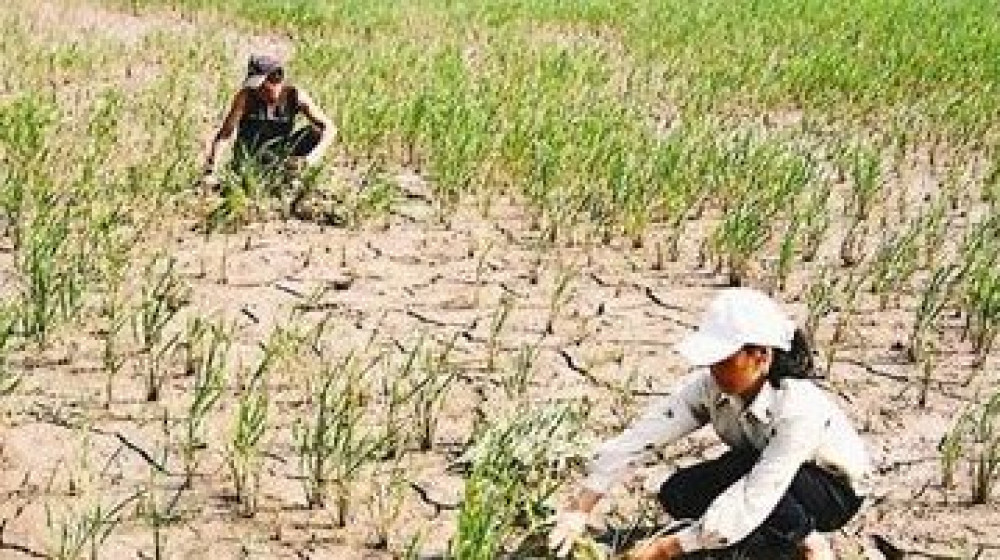 BĐKH thách thức nông nghiệp Đông Nam Á, nông dân là đối tượng chịu tác động tiêu cực nhất