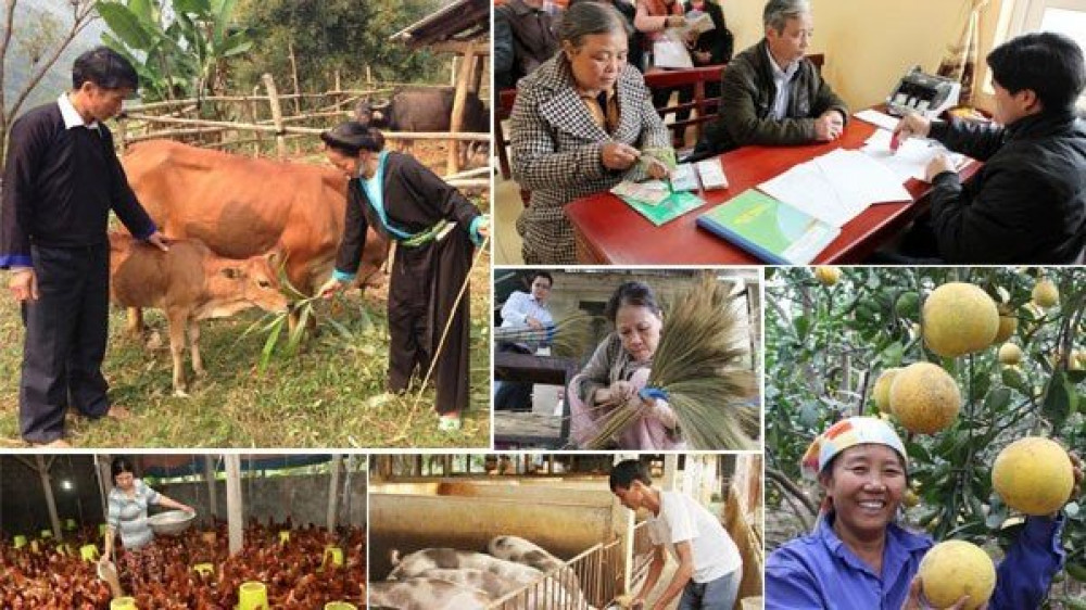 Đẩy mạnh thực hiện các chính sách giảm nghèo bền vững nhân Ngày vì người nghèo Việt Nam