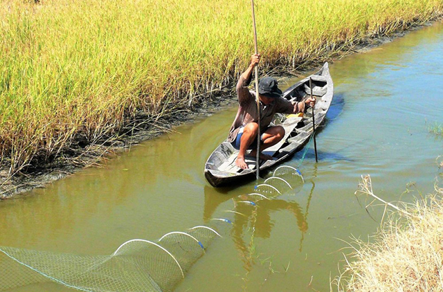 Chia sẻ với hơn 72 về mô hình nuôi trồng thủy sản sinh thái hay nhất  Tin  học Đông Hòa