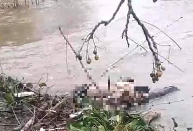 Người dân phát hiện thi thể của một nam thanh niên bên bờ sông Lợi Nông.