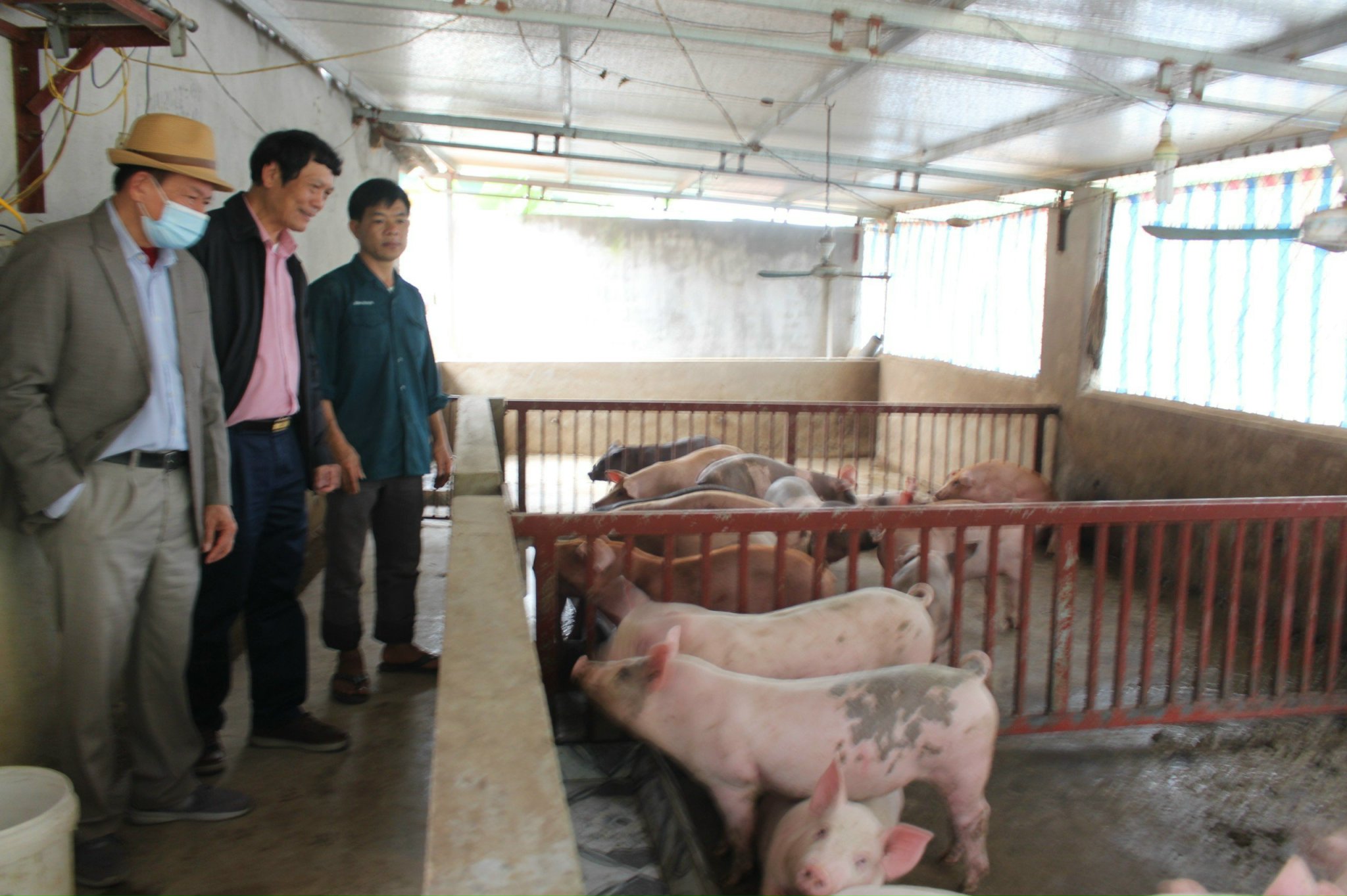 Đoàn tham quan Trang trại chăn nuôi của anh Dương Văn Hùng, xã Thanh Hòa, huyện Thanh Chương