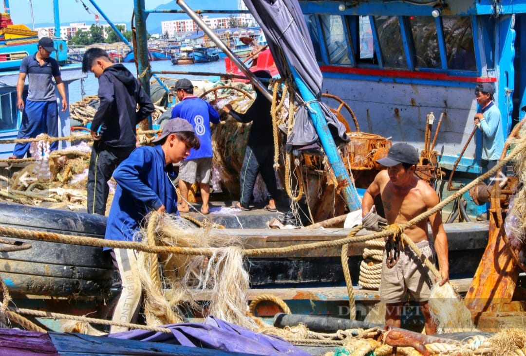 Trước tình hình đó, Nghệ An đã lập tức có chính sách hỗ trợ các chủ tàu cá.