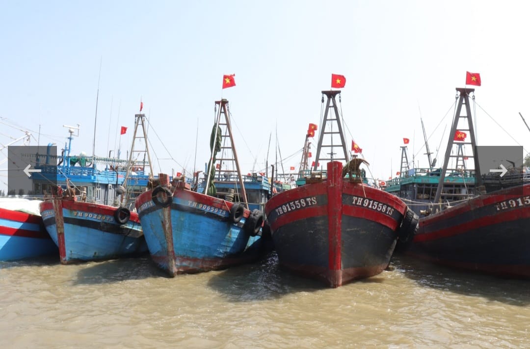 Giá xăng dầu tăng cao khiến gần 1.500 tàu đánh cá trên địa bàn tỉnh Nghệ An phải nằm bờ