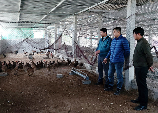 Đoàn viên, thanh niên huyện Bến Cầu tham quan mô hình Trang trại chăn nuôi Chim  Trĩ tại Lợi Thuận