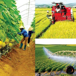 Phương pháp tiếp cận mới cho cảnh quan nông nghiệp