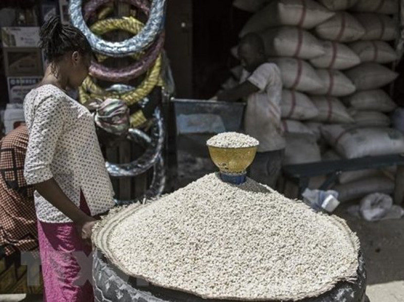 FAO: Giá lương thực trên thế giới đạt mức cao nhất trong một thập kỷ