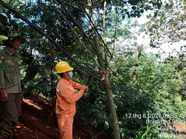 PC Đắk Nông xử lý nguy cơ rò rỉ điện đường dây sau công tơ hộ gia đình bà Nguyễn Thị Lý ở thôn Tân Hiệp xã Đak R'Moan, TP Gia Nghĩa.