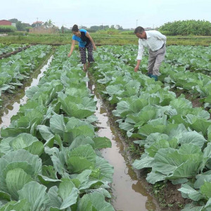 Hội Nông nghiệp và PTNT Bắc Ninh: Thi đua sản xuất VAC giỏi, nhiều mô hình thu 