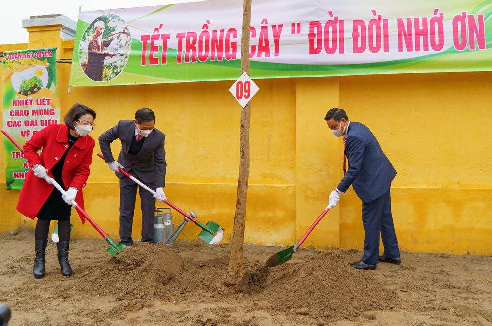 Lãnh đạo thành phố tiến hành trồng cây Phượng vỹ trên vỉa hè tuyến đường nhánh lô 20, 21 đường Lê Hồng Phong.