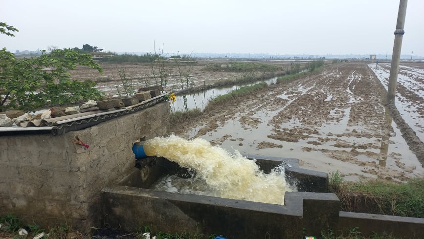 Nhiều nơi tại tỉnh Thừa Thiên - Huế đang tiến hành đấu úng để sản xuất lúa vụ đông xuân 2021 - 2022.