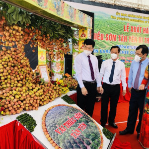 Năm 2025, diện tích cây ăn quả của Bắc Giang đạt khoảng 52.000 ha