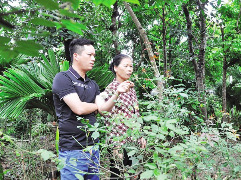 Phong trào thi đua mới của Hội Nông nghiệp và PTNT Bắc Ninh: Sản xuất hữu cơ và an toàn sinh học