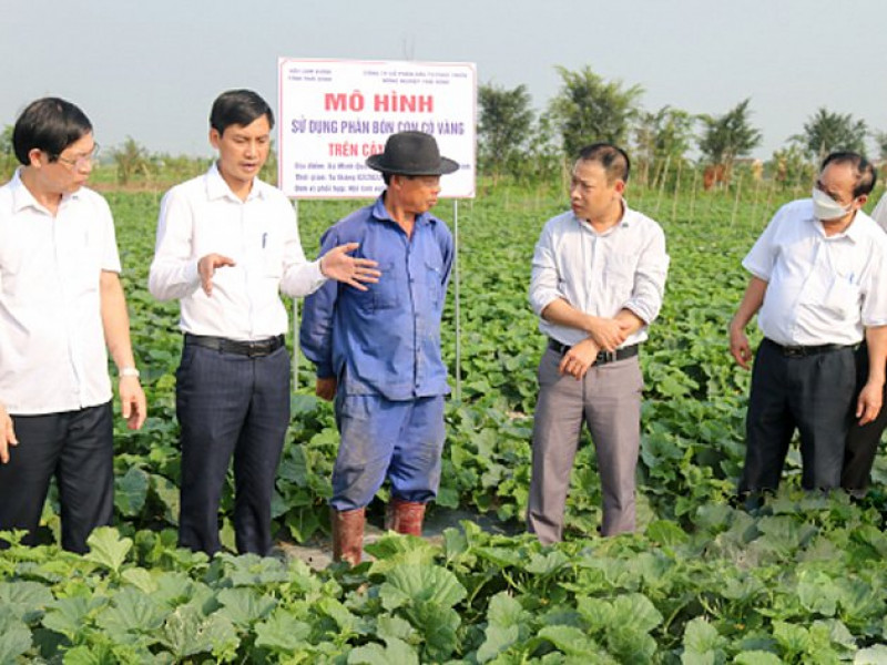 Thái Bình thúc đẩy phong trào làm VAC và phát triển cơ giới hóa nông nghiệp 