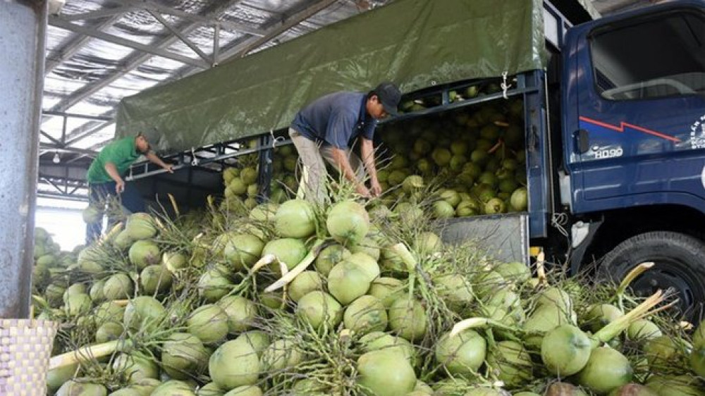 Xuất khẩu rau quả sang Trung Quốc: Nguy cơ 'tắc' đến hết năm