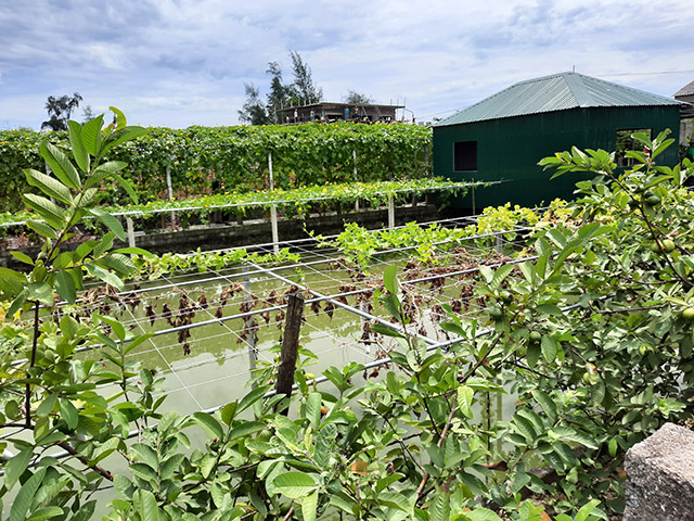 Dự báo các loại hình nhà ở Nông thôn phù hợp với cơ cấu sản xuất kinh tế  nông nghiệp  Tạp chí Kiến Trúc