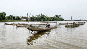 Nuôi cá trong “lồng thuyền”: Giải pháp nuôi an toàn mùa mưa lũ