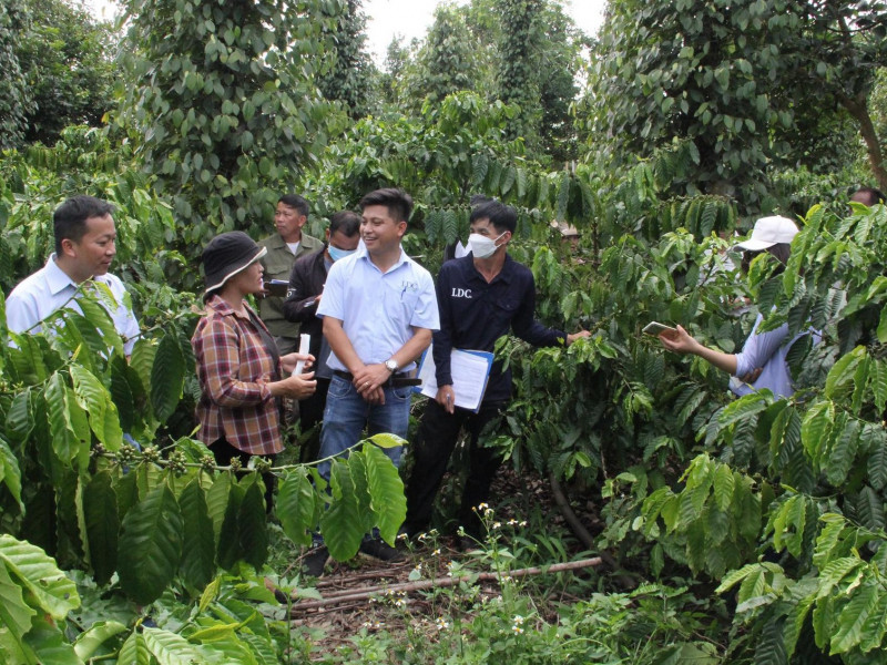 Mô hình cảnh quan cà phê “chinh phục” và giúp hơn 7.000 nông dân Việt hưởng lợi   