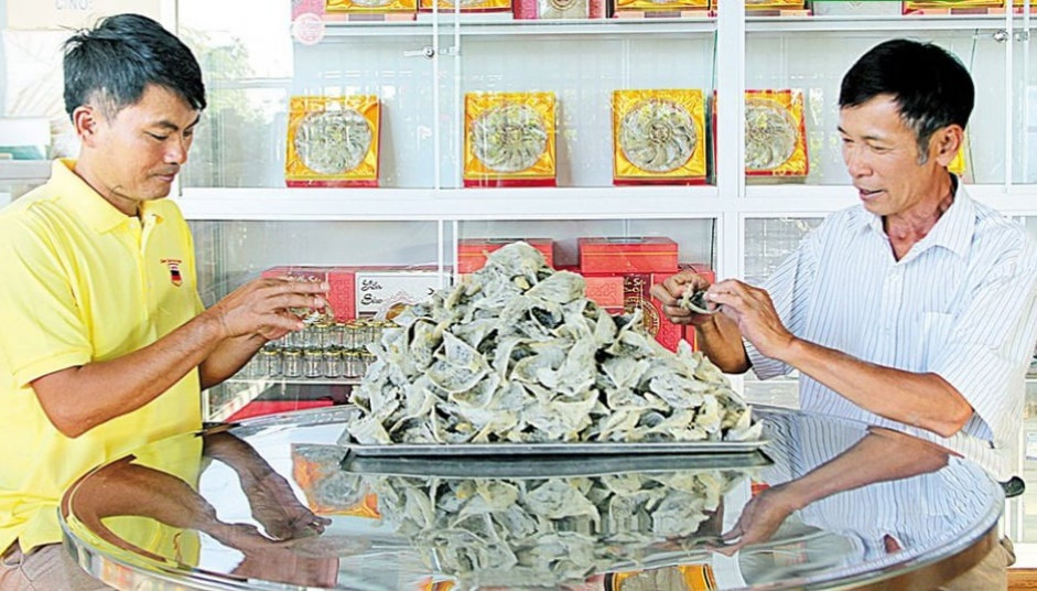 Hàng tháng ông Cường (bên phải) có nguồn thu nhập hơn 150 triệu đồng từ tổ chim yến