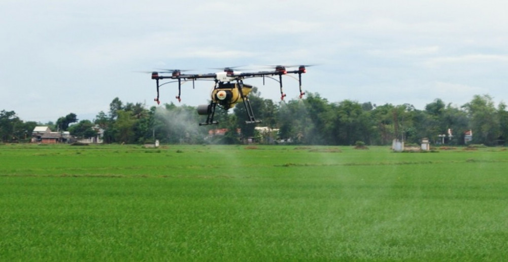 Tập đoàn Lộc Trời sẽ sử dụng thiết bị bay không người lái (drone) phun thuốc phòng trừ sâu hại lúa