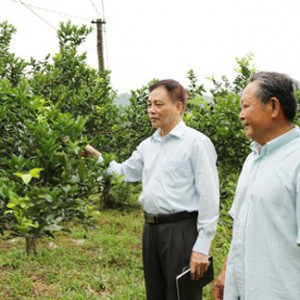 Cải tạo vườn tạp gắn với XDNTM, Hội Làm vườn tỉnh Hà Giang đưa Nghị quyết Đảng vào cuộc sống