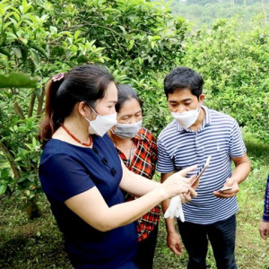 Nông dân Hà Giang bắt nhịp chuyển đổi số trong nông nghiệp