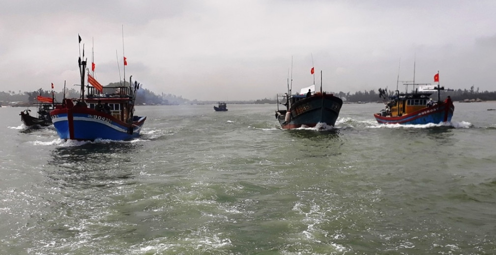 Các tàu cá của ngư dân xã Bình Thạnh (huyện Bình Sơn, Quảng Ngãi) “mở” của biển đầu năm