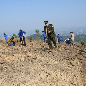 Gần 1 tháng, Bắc Giang trồng 1.120ha rừng tập trung