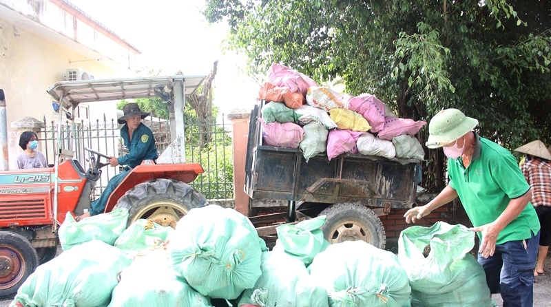 tập-kết-khaoi-môn-chỉ-tím.jpg