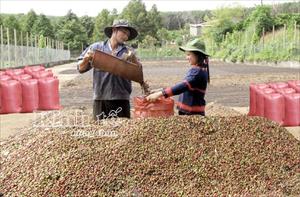 Xây dựng thương hiệu quốc gia: Trách nhiệm của cộng đồng