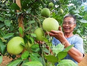 XDNTM ở Thọ Xuân: Bảo đảm chất lượng, sát với thực tế từng địa phương