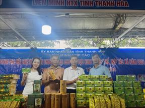 Thanh Hoá tham gia Hội chợ xúc tiến thương mại khu vực miền Trung – Tây Nguyên