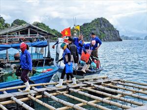 Để giàu lên từ biển - Bài 1: Thực trạng nghề nuôi biển