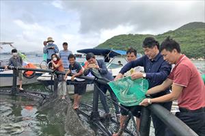 Để giàu lên từ biển - Bài 3: Những cách làm hay