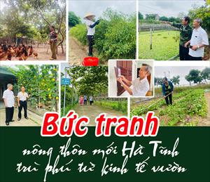 Bức tranh nông thôn mới Hà Tĩnh trù phú từ kinh tế vườn