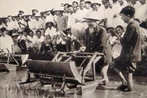 Vận dụng Tư tưởng Hồ Chí Minh về phát triển nông nghiệp, xây dựng NTM