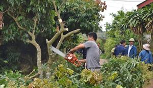 Tân Yên quyết tâm về đích NTM nâng cao vào năm 2025